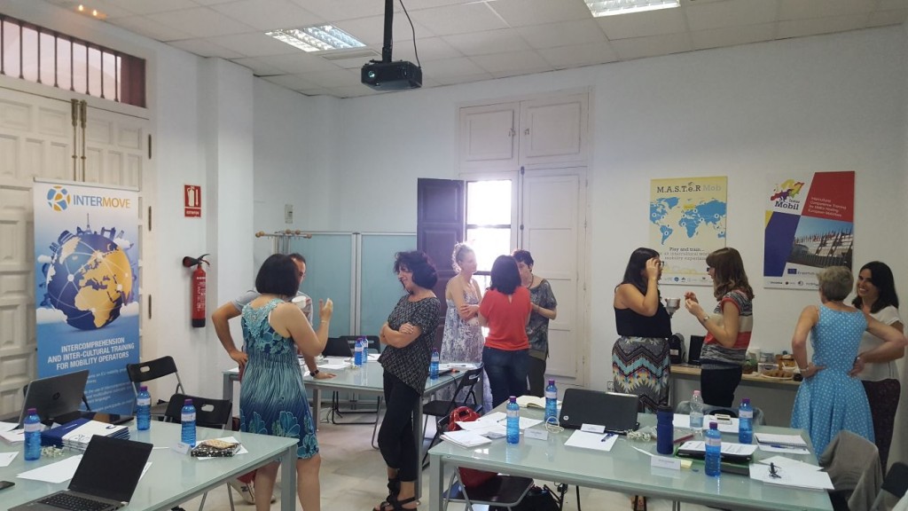 Collaborative learning workshop in Seville- INTERMOVE